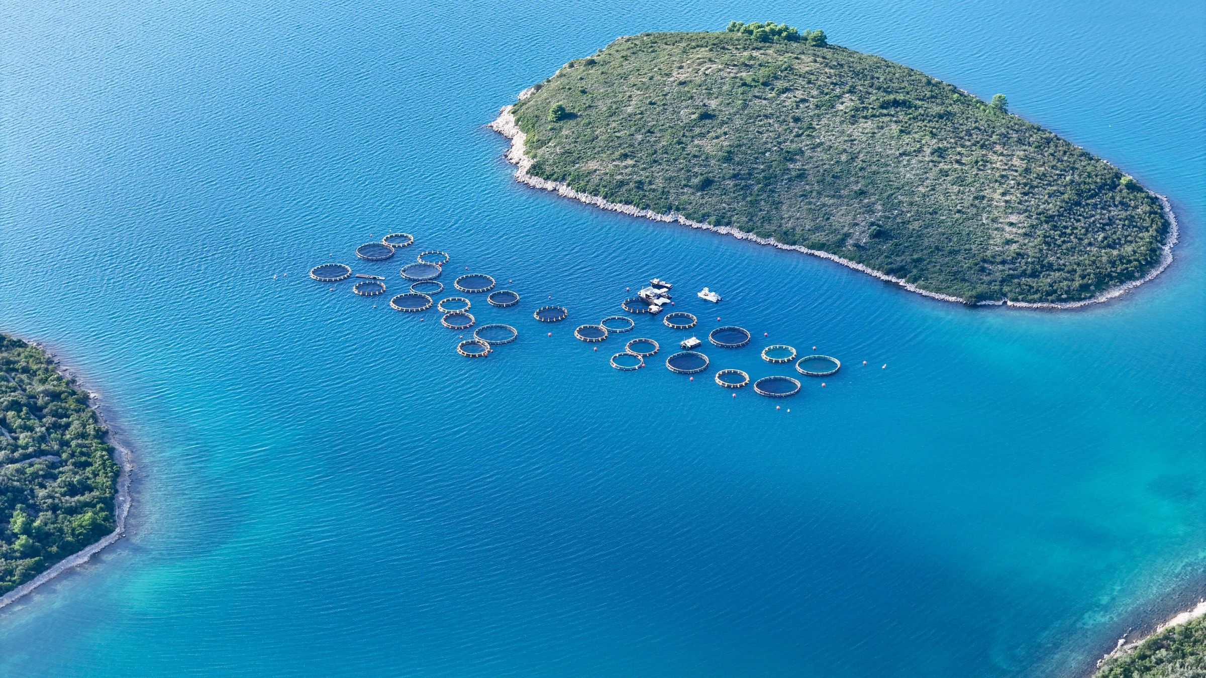 Aquaculture’s potential for our economic future