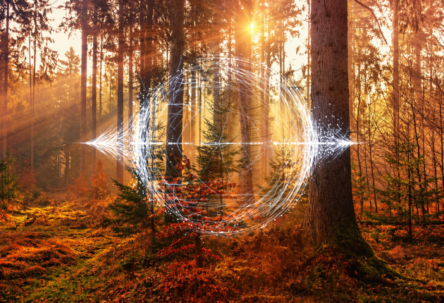 Autumn image