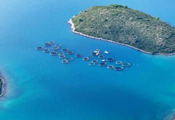 Aquaculture’s potential for our economic future